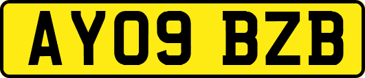 AY09BZB