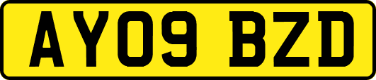 AY09BZD