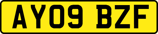 AY09BZF