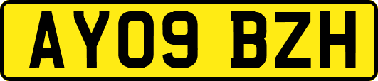AY09BZH