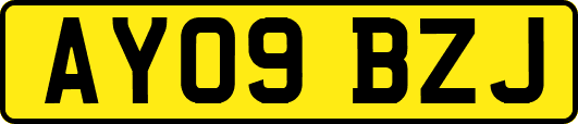 AY09BZJ