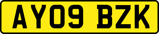 AY09BZK