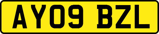 AY09BZL