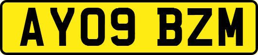 AY09BZM