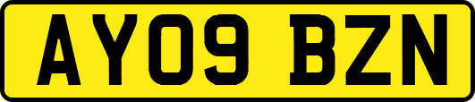 AY09BZN