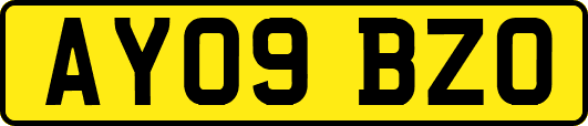 AY09BZO