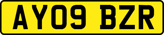 AY09BZR