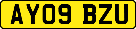 AY09BZU