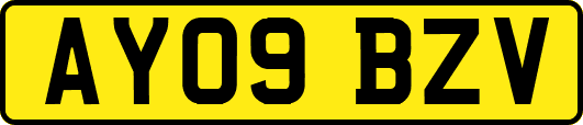 AY09BZV