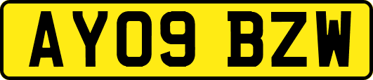 AY09BZW