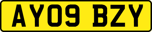 AY09BZY
