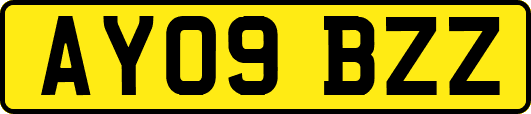 AY09BZZ