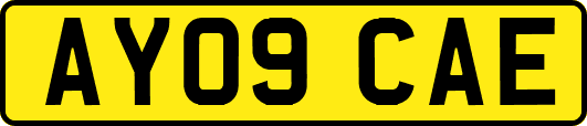 AY09CAE