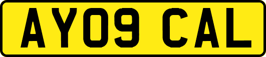 AY09CAL