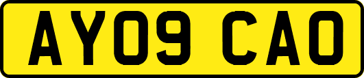 AY09CAO