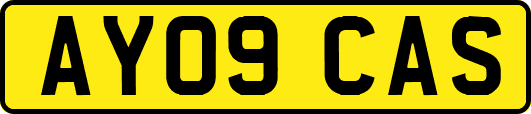 AY09CAS