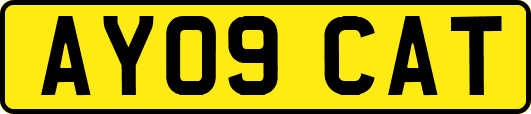 AY09CAT
