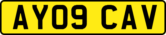 AY09CAV