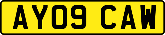 AY09CAW