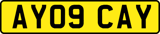 AY09CAY