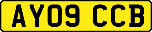 AY09CCB