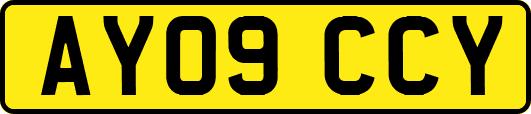 AY09CCY