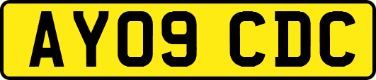 AY09CDC