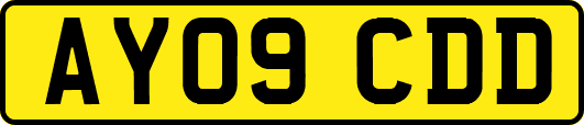 AY09CDD