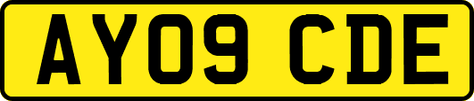 AY09CDE