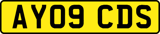 AY09CDS