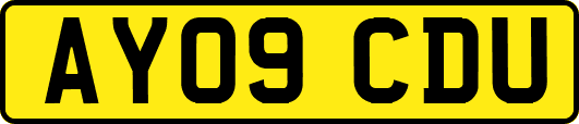 AY09CDU