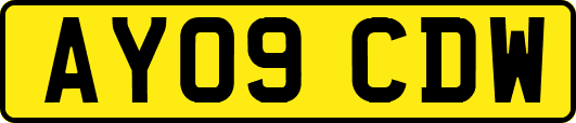 AY09CDW