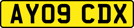 AY09CDX