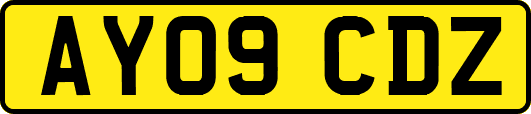 AY09CDZ