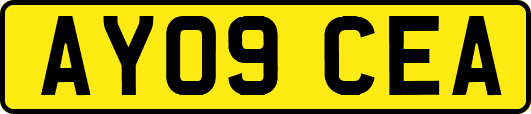 AY09CEA