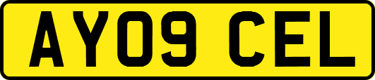 AY09CEL