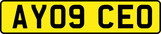 AY09CEO