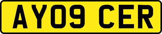 AY09CER
