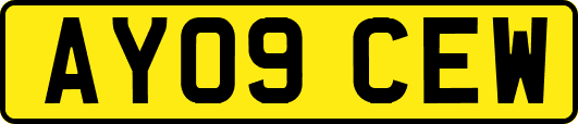 AY09CEW
