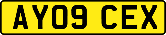 AY09CEX