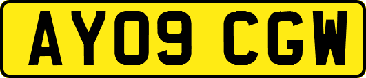 AY09CGW