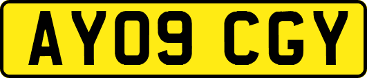AY09CGY