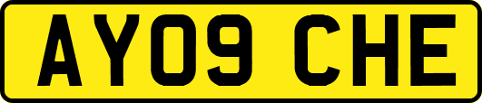 AY09CHE