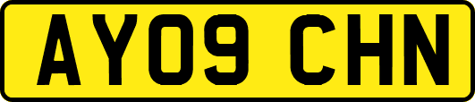 AY09CHN