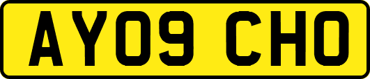 AY09CHO