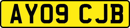 AY09CJB