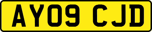 AY09CJD