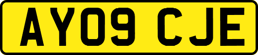 AY09CJE