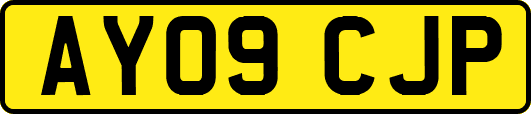 AY09CJP