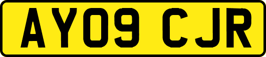 AY09CJR